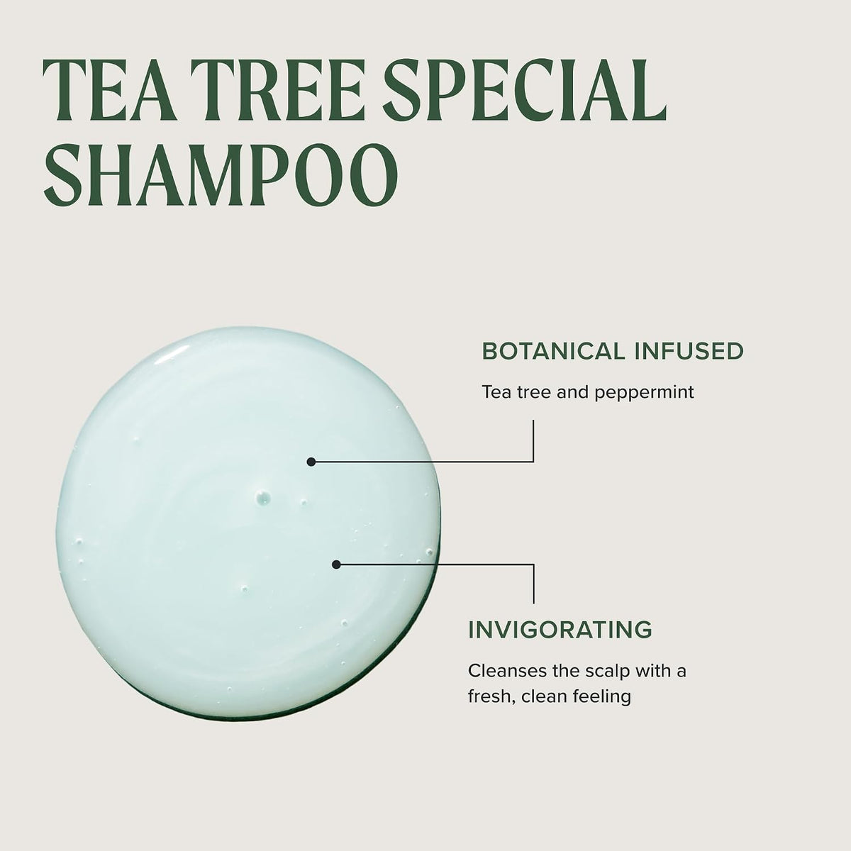 Tea Tree Special Shampoo, Deep Cleans, Refreshes Scalp, Especially Oily Hair, For All Hair Types