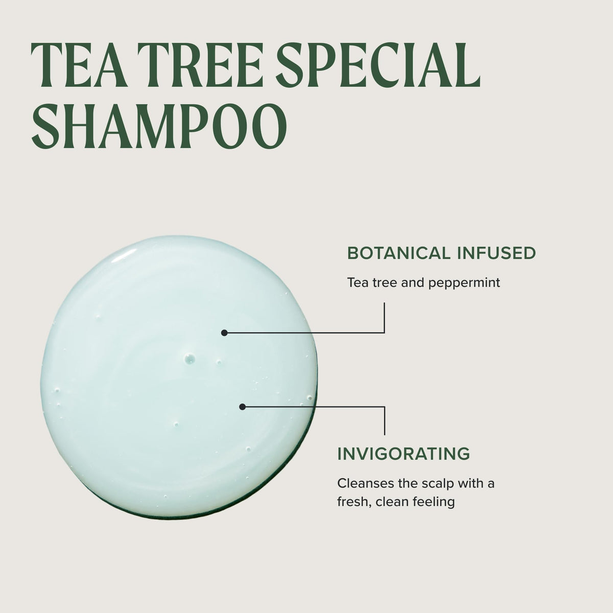 Tea Tree Special Shampoo, Deep Cleans, Refreshes Scalp, Especially Oily Hair, For All Hair Types