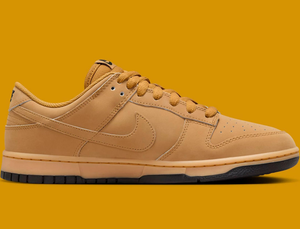 Nike Dunk Low Retro SE Men's Shoes
