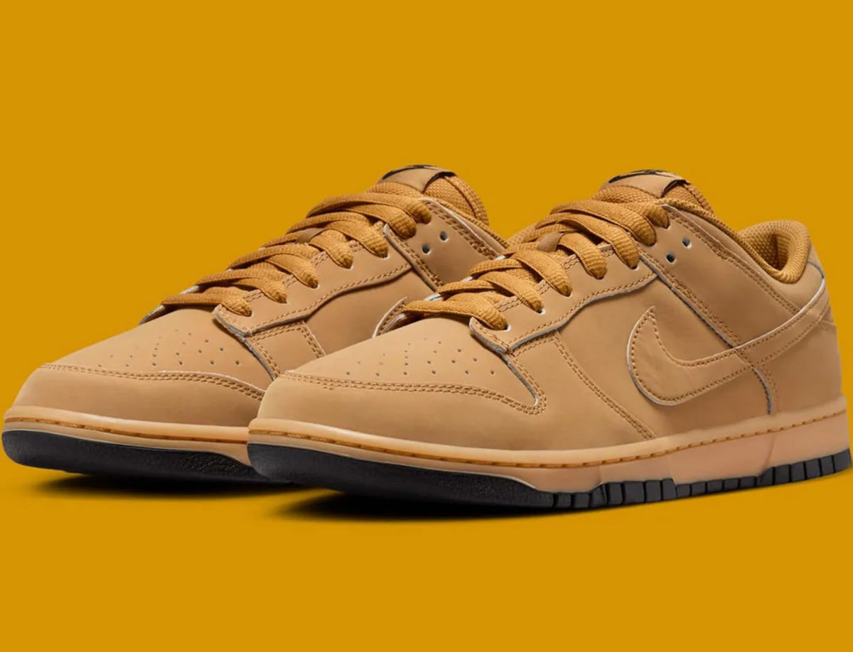 Nike Dunk Low Retro SE Men's Shoes