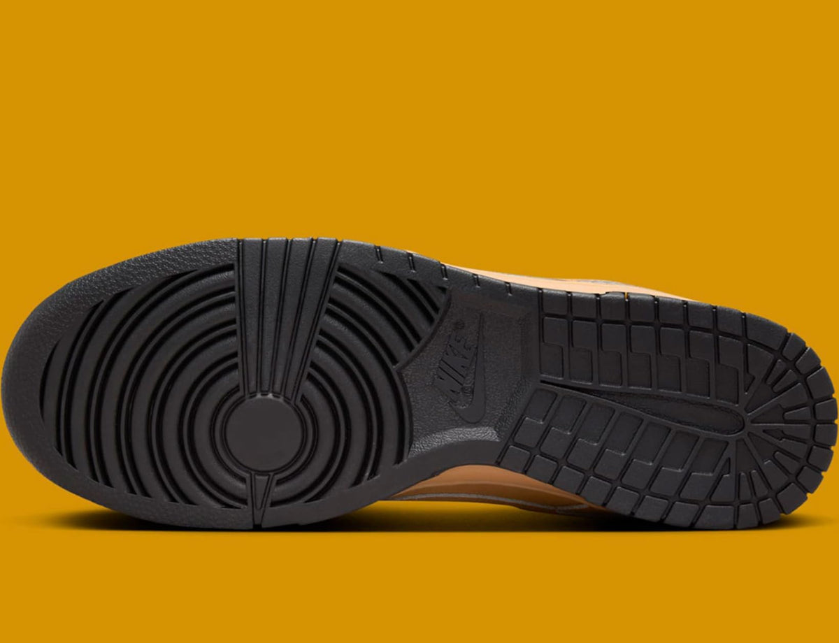 Nike Dunk Low Retro SE Men's Shoes