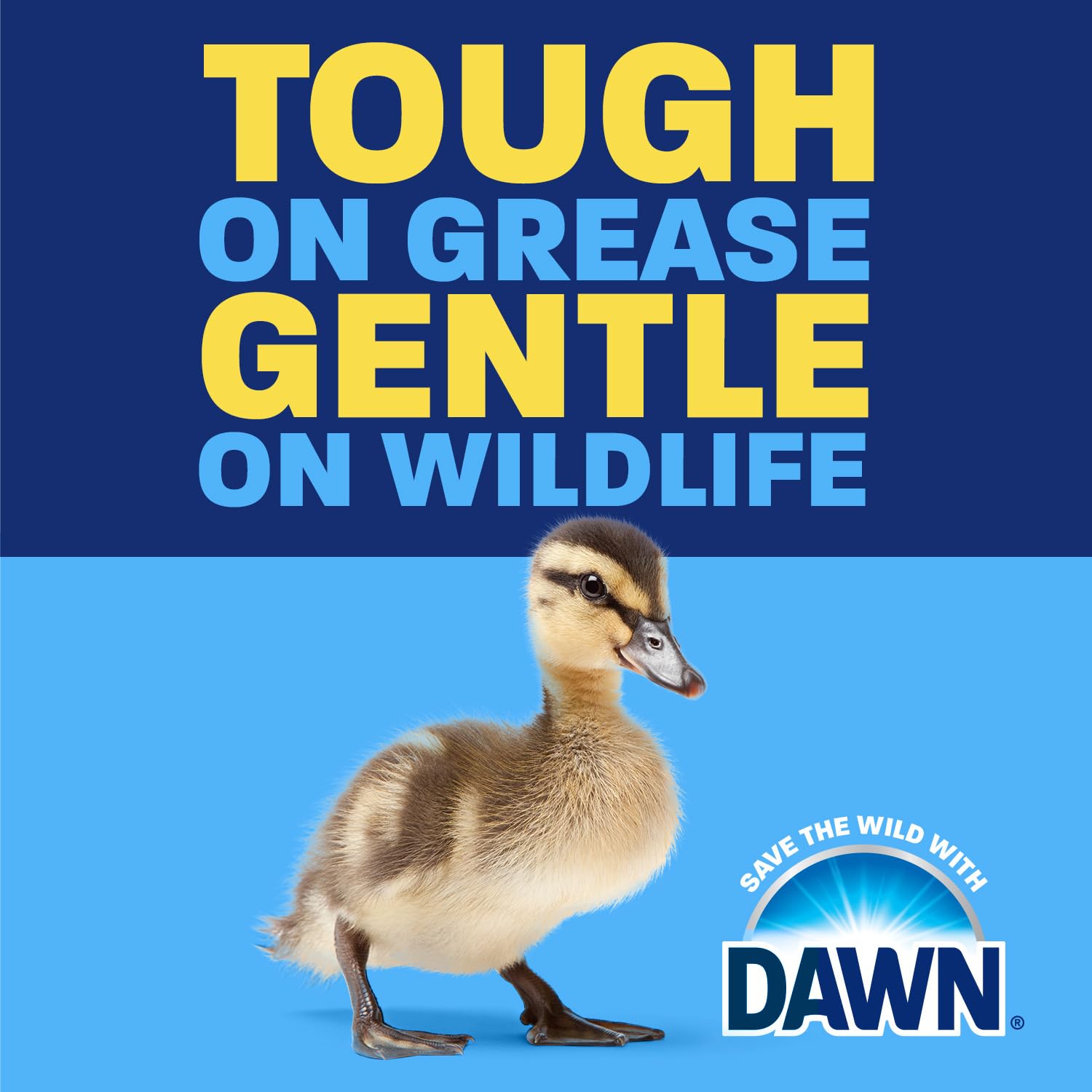 Dawn EZ-Squeeze Ultra Dish Soap