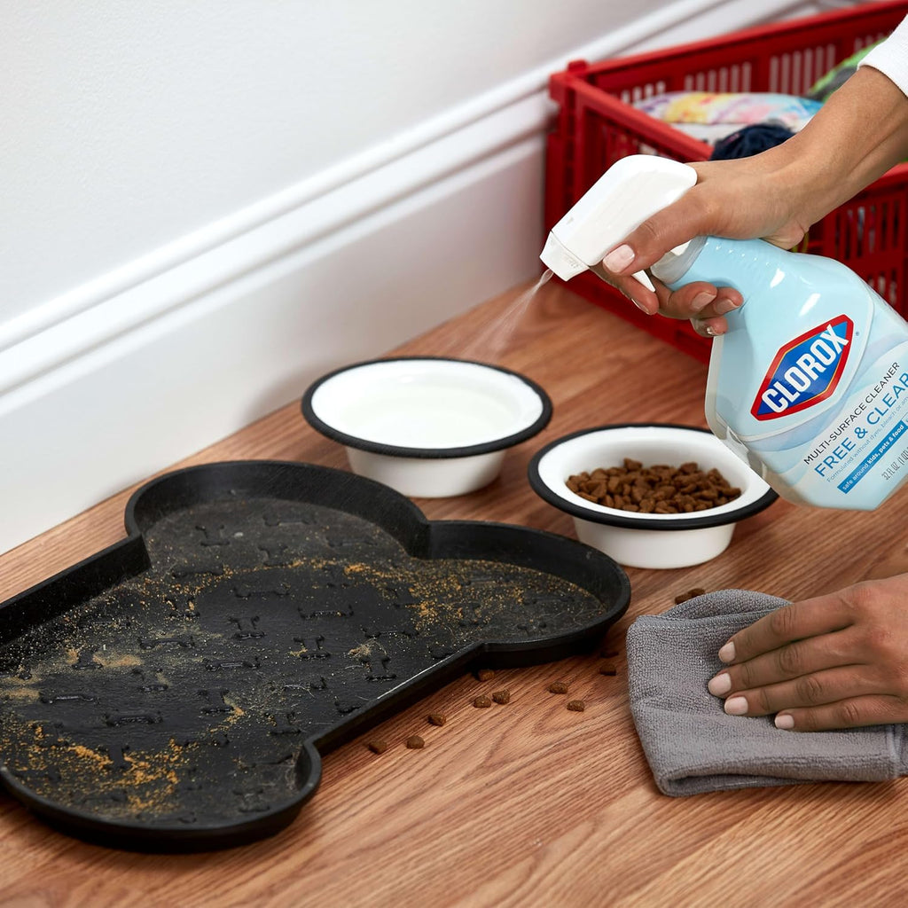 Clorox Free & Clear Multi Surface Cleaner