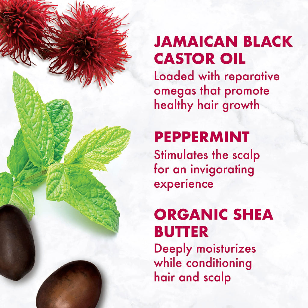 SheaMoisture Jamaican Black Castor Oil Smoothie – 11.5oz