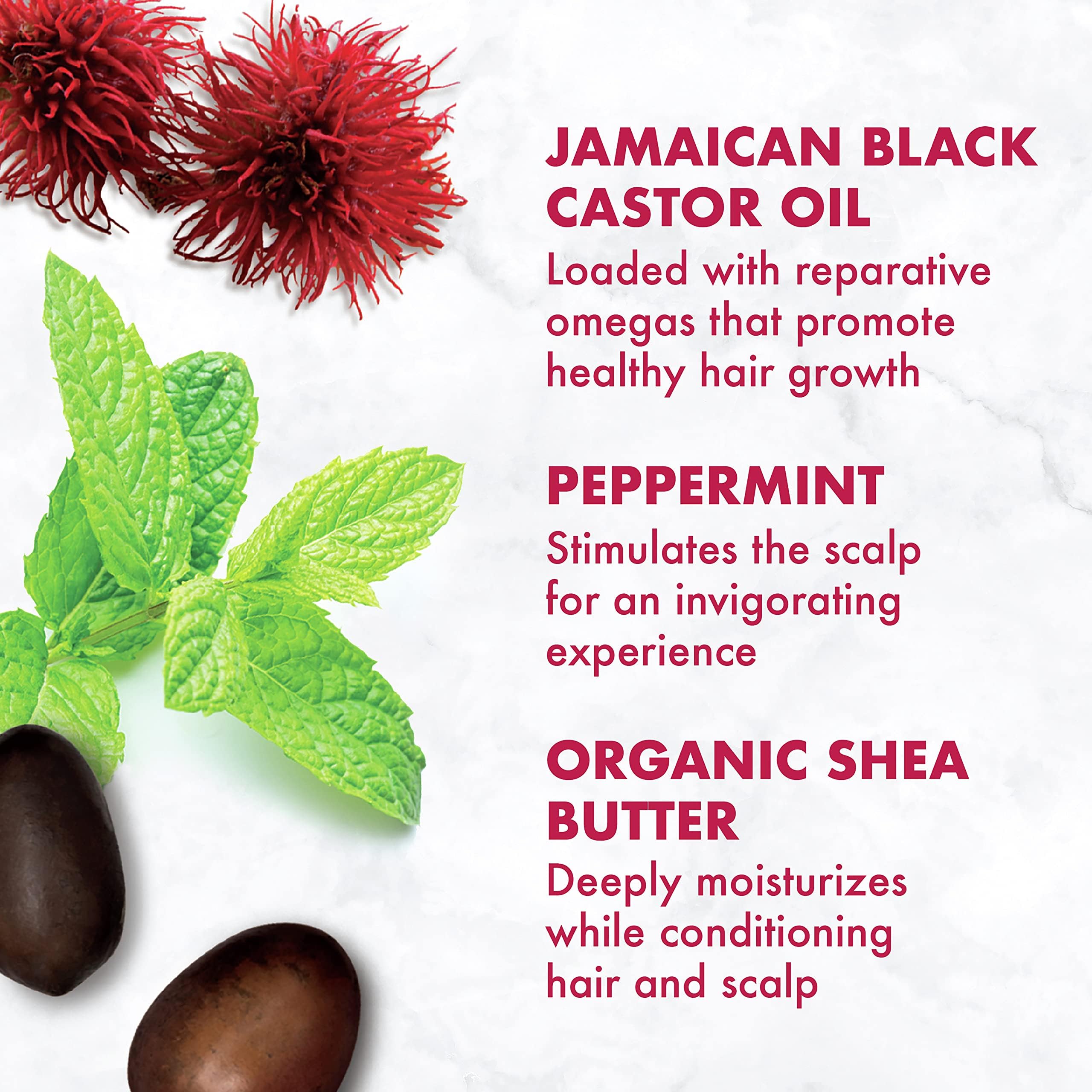 SheaMoisture Jamaican Black Castor Oil Smoothie – 11.5oz
