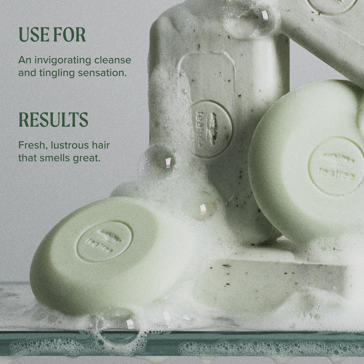 Tea Tree Special Shampoo, Deep Cleans, Refreshes Scalp, Especially Oily Hair, For All Hair Types