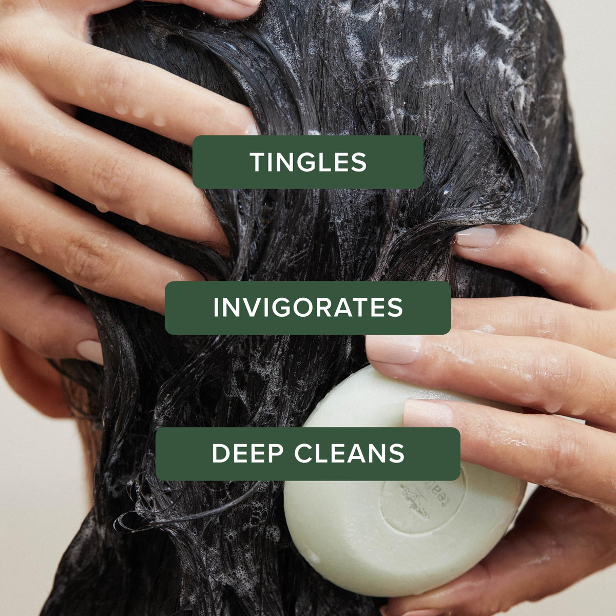 Tea Tree Special Shampoo, Deep Cleans, Refreshes Scalp, Especially Oily Hair, For All Hair Types