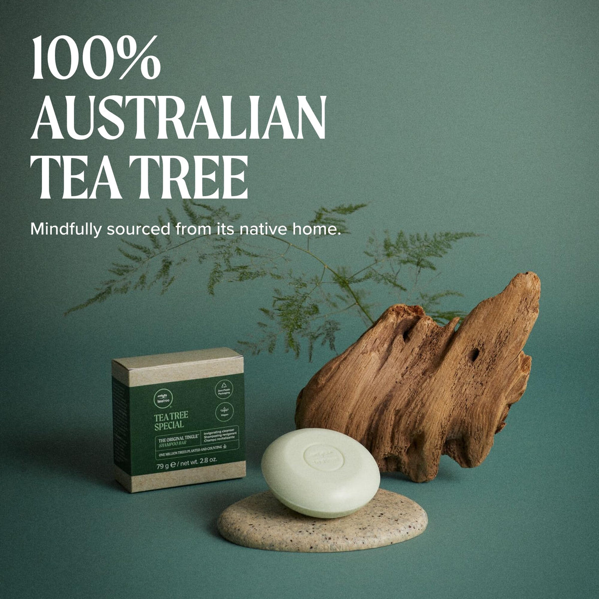 Tea Tree Special Shampoo, Deep Cleans, Refreshes Scalp, Especially Oily Hair, For All Hair Types