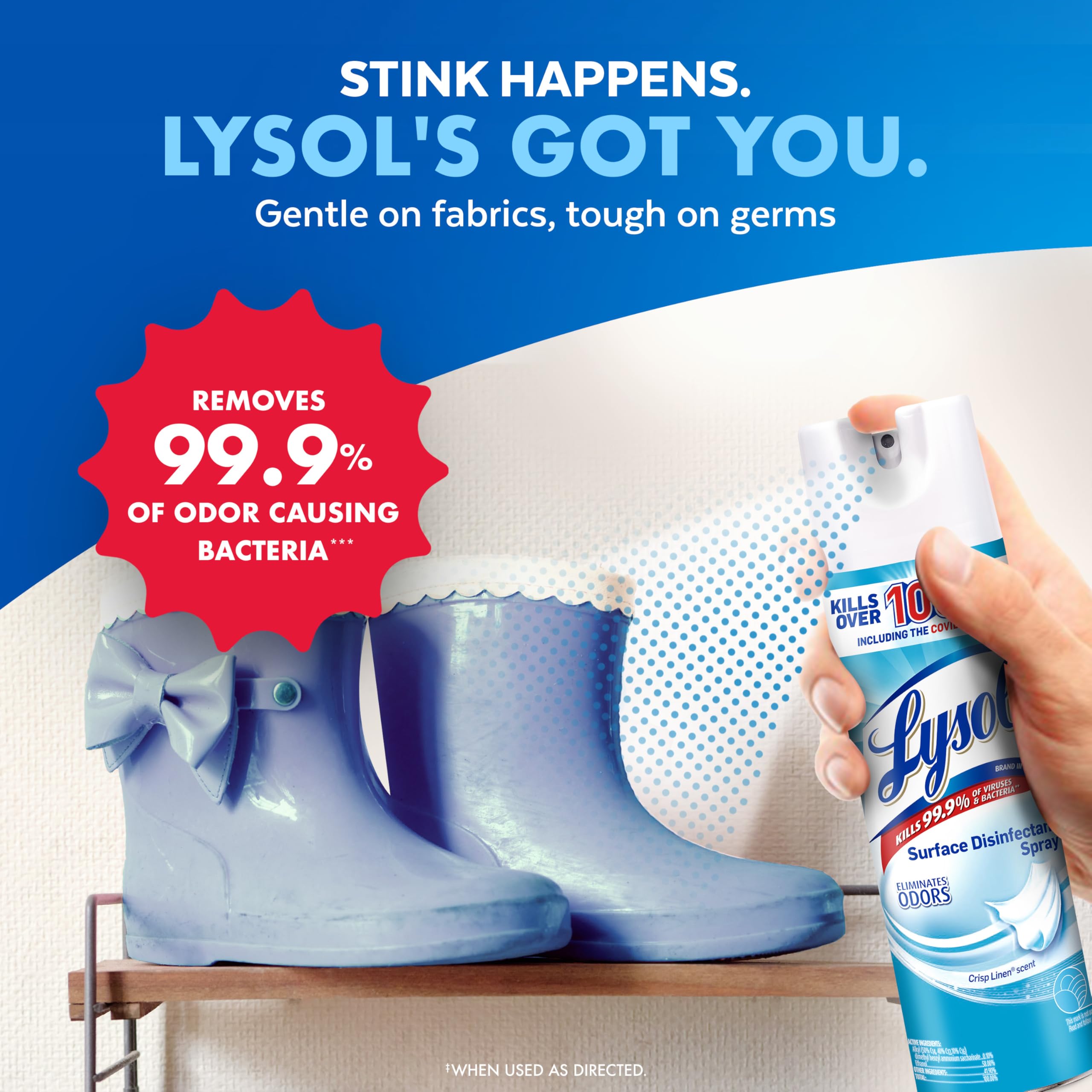 Lysol Disinfectant Spray