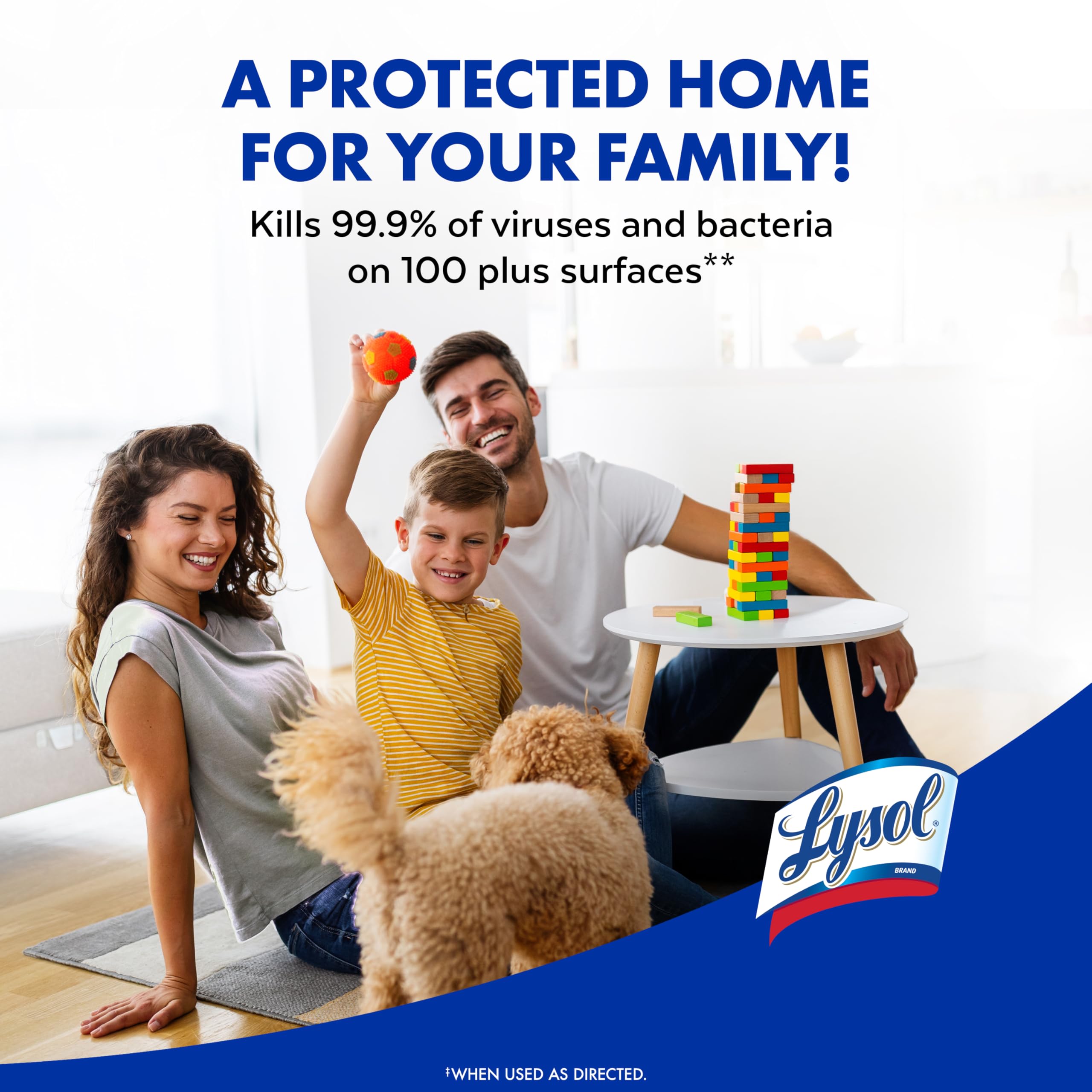 Lysol Disinfectant Spray
