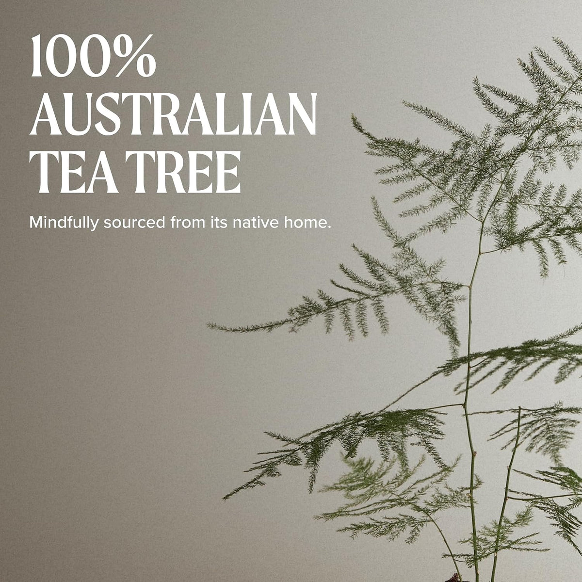 Tea Tree Hair and Body Moisturizer Leave-In Conditioner, Body Lotion, After-Shave Cream, For All Hair + Skin Types