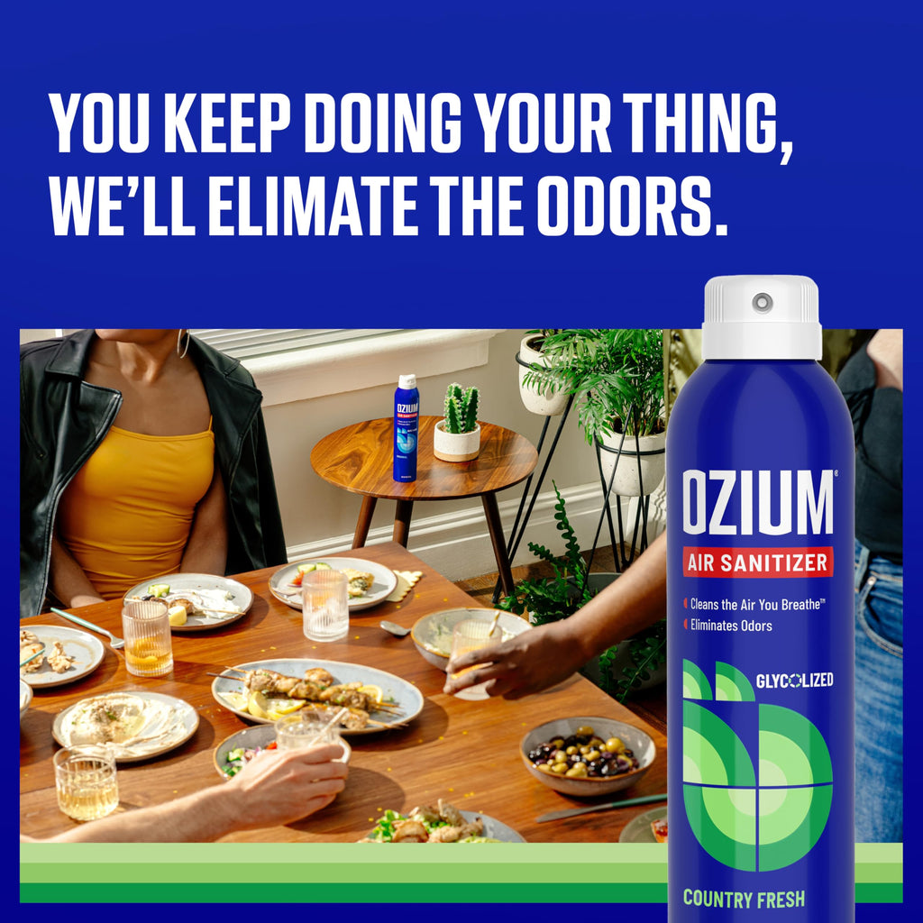 Ozium Air Sanitizer & Odor Eliminator