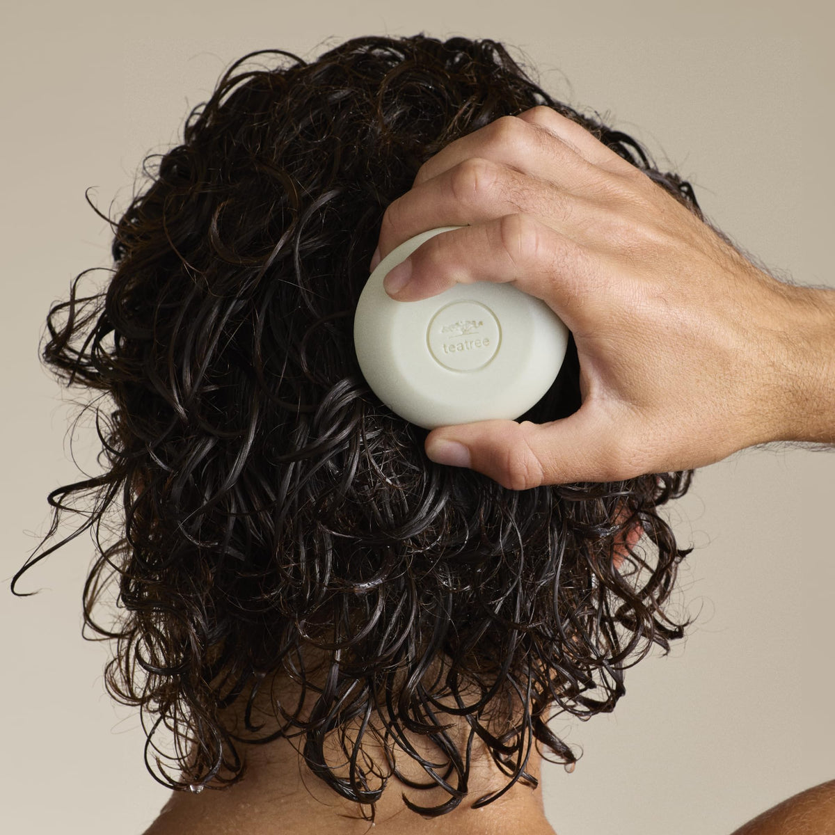 Tea Tree Special Shampoo, Deep Cleans, Refreshes Scalp, Especially Oily Hair, For All Hair Types