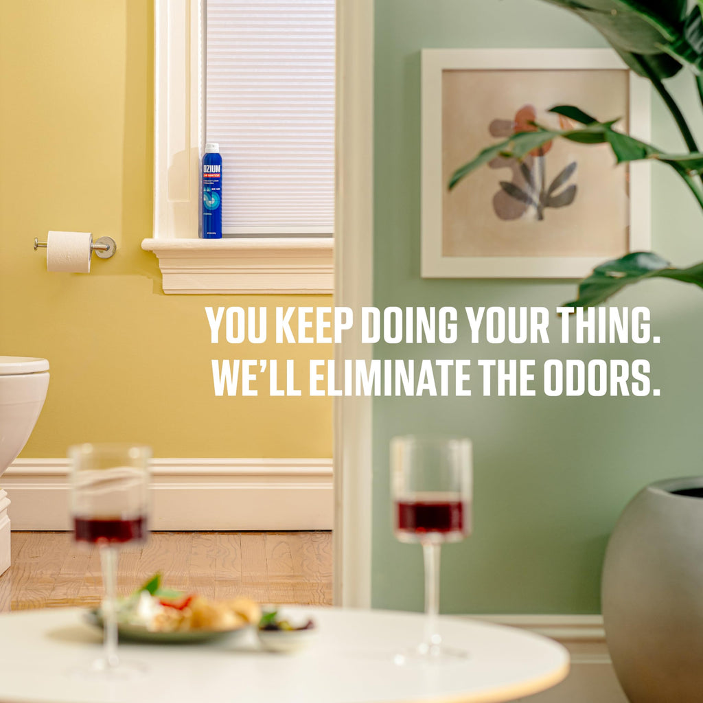 Ozium Air Sanitizer & Odor Eliminator