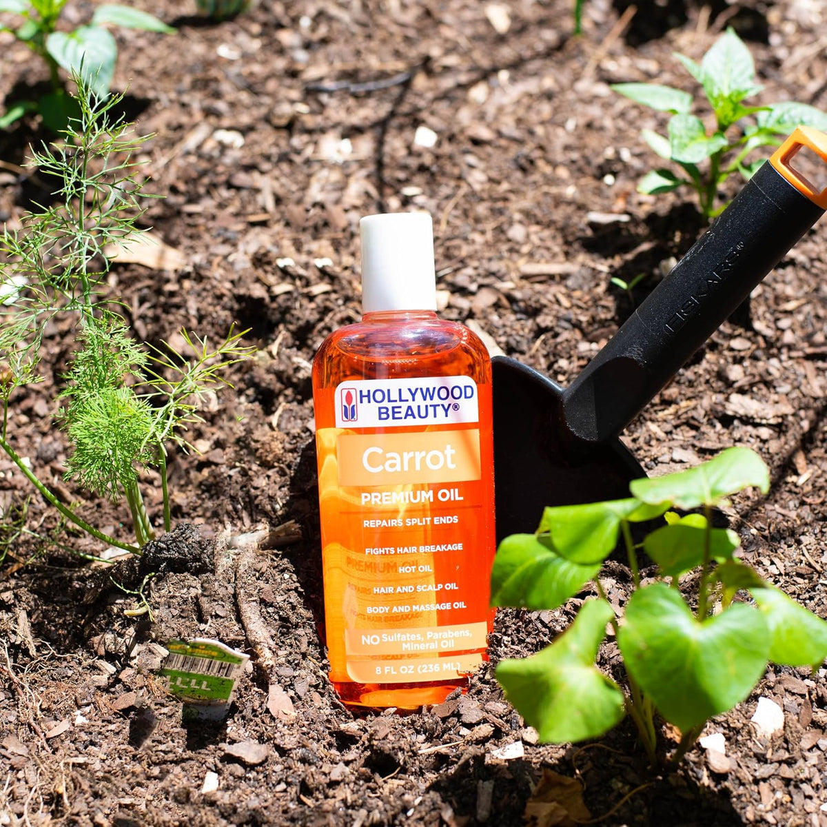 Hollywood Beauty Carrot Hair Oil, 8oz Bottle, Hair, Scalp, Skin, Nail, & Massage Oil, Helps Repair Damaged Hair & Skin, Can be Used as a Hot Oil Treatment
