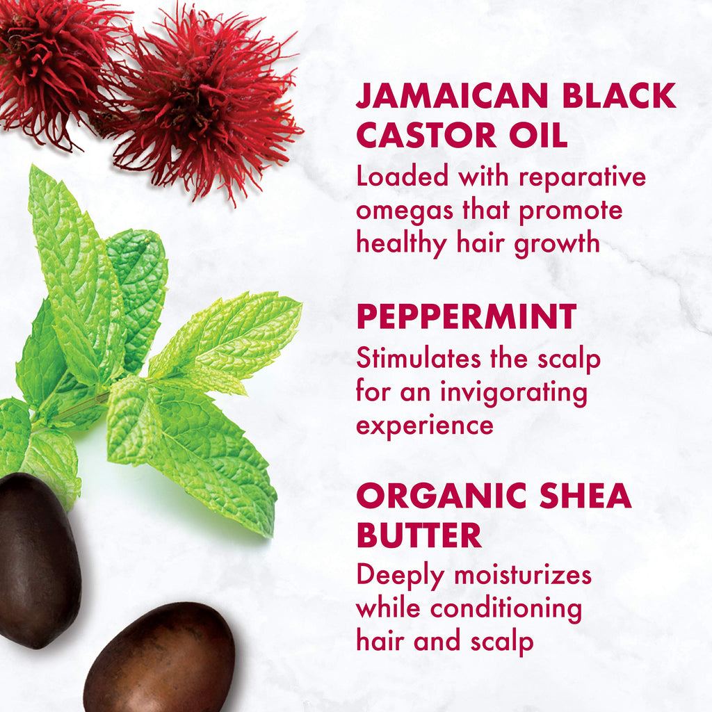 SheaMoisture Jamaican Black Castor Oil Smoothie – 11.5oz