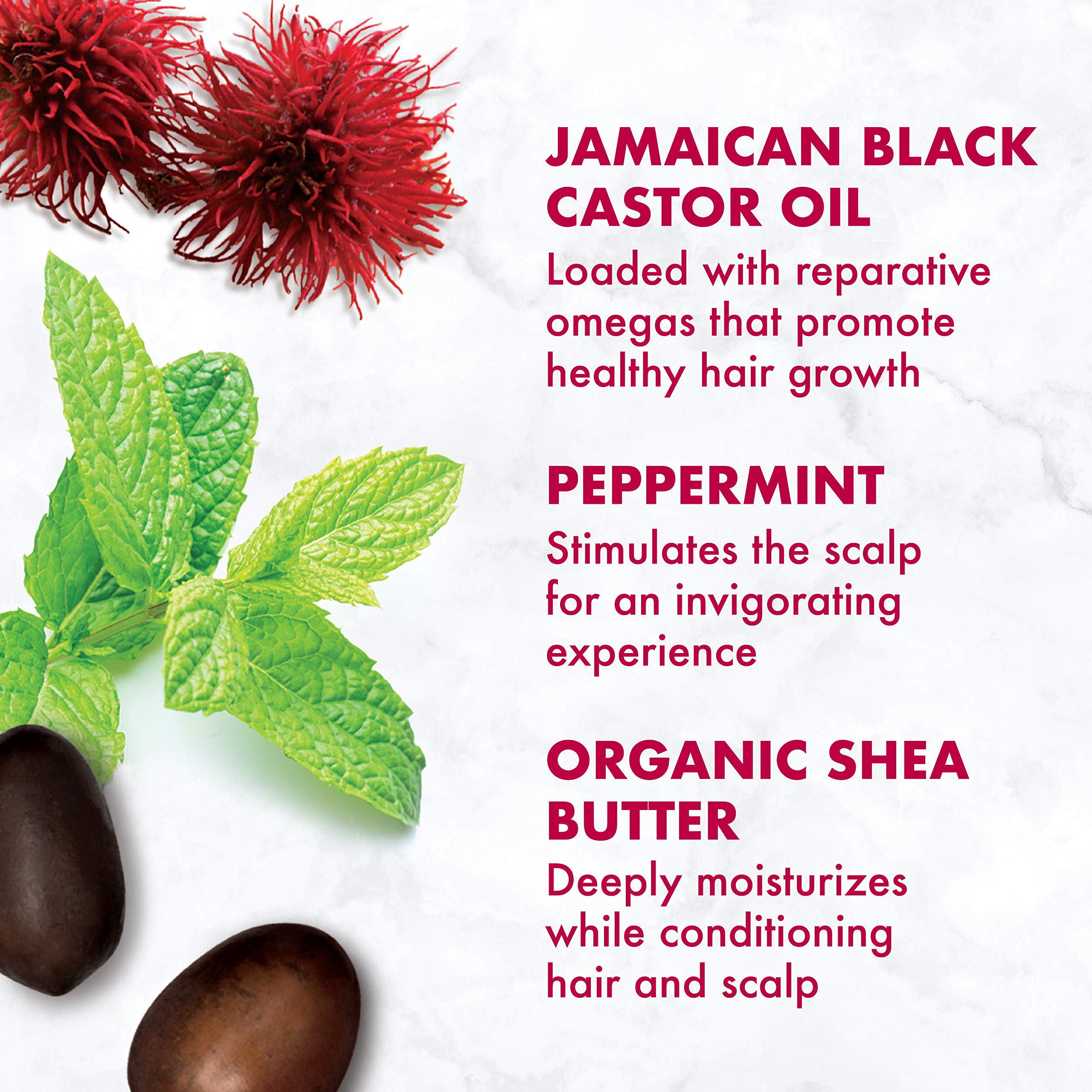 SheaMoisture Jamaican Black Castor Oil Smoothie – 11.5oz