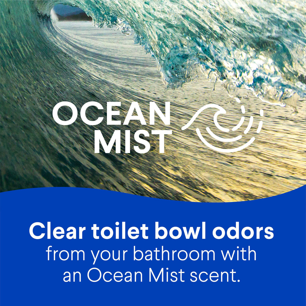 CLOROX Toilet Bowl Cleaner